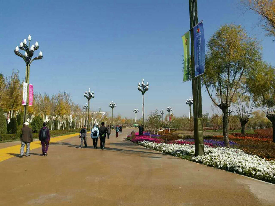 mmexport1509328414142.jpg